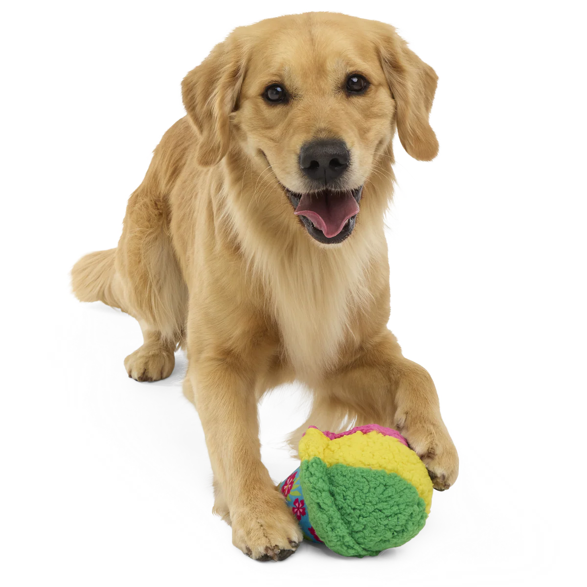 A-Sno-Ha Cone Plush Fetch Dog Toy - Image 3