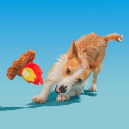 A'Hound the Campfire Plush Dog Toy - Image 3