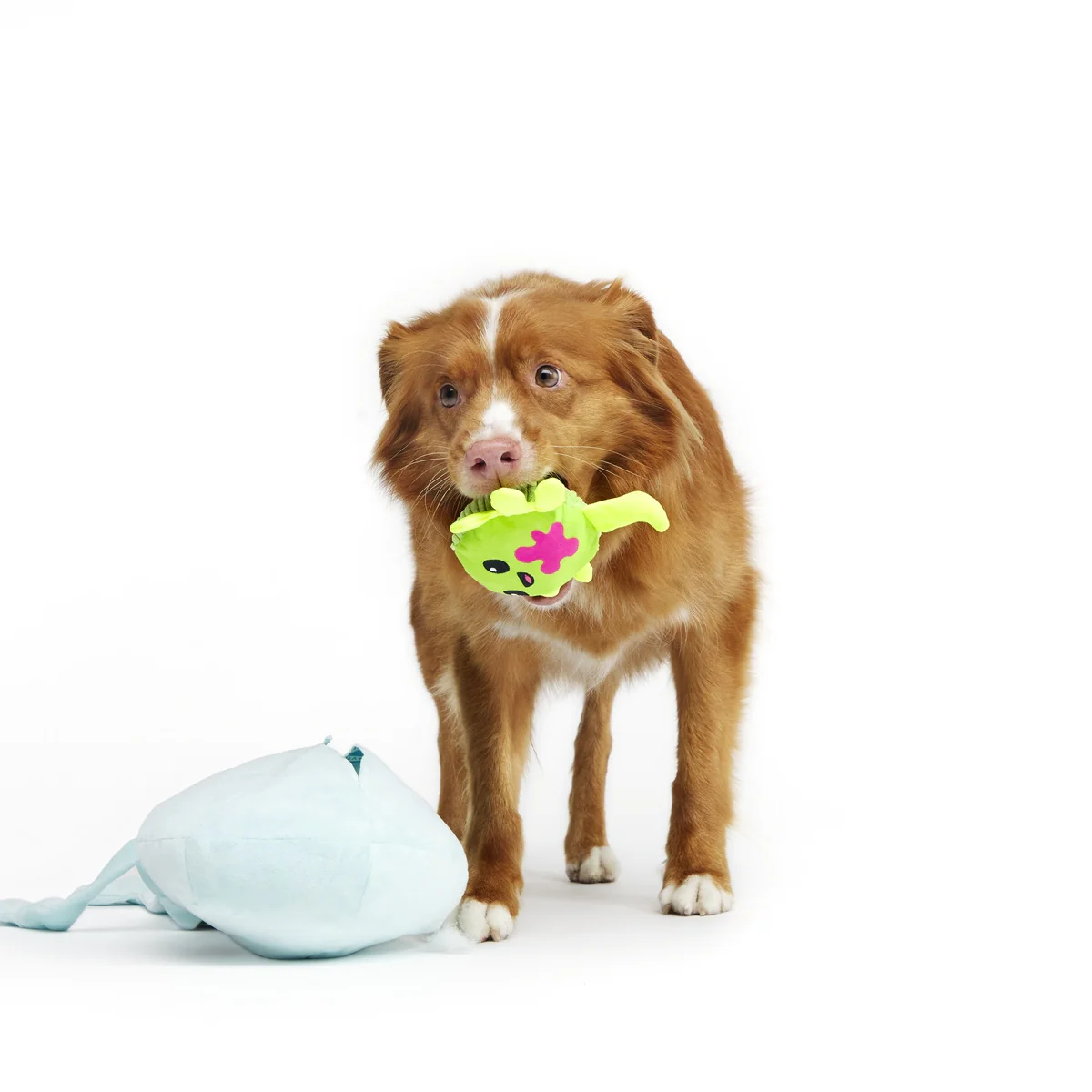 Alien Gnawtopsy Plush 2-in-1 Rip and Reveal + Tug + Enrichment + Multi-Part + XXL Dog Toy - Image 3