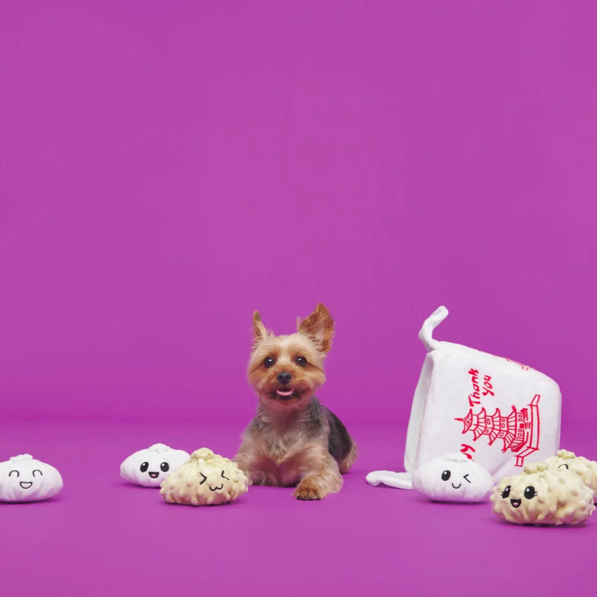 Andi's Famous Plush Dumplings Enrichment + Multi-Part + Extra-Large Dog Toy - Image 8