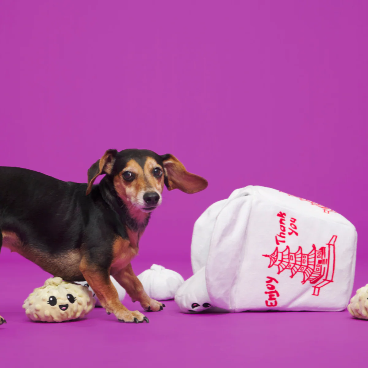 Andi's Famous Plush Dumplings Enrichment + Multi-Part + Extra-Large Dog Toy - Image 9
