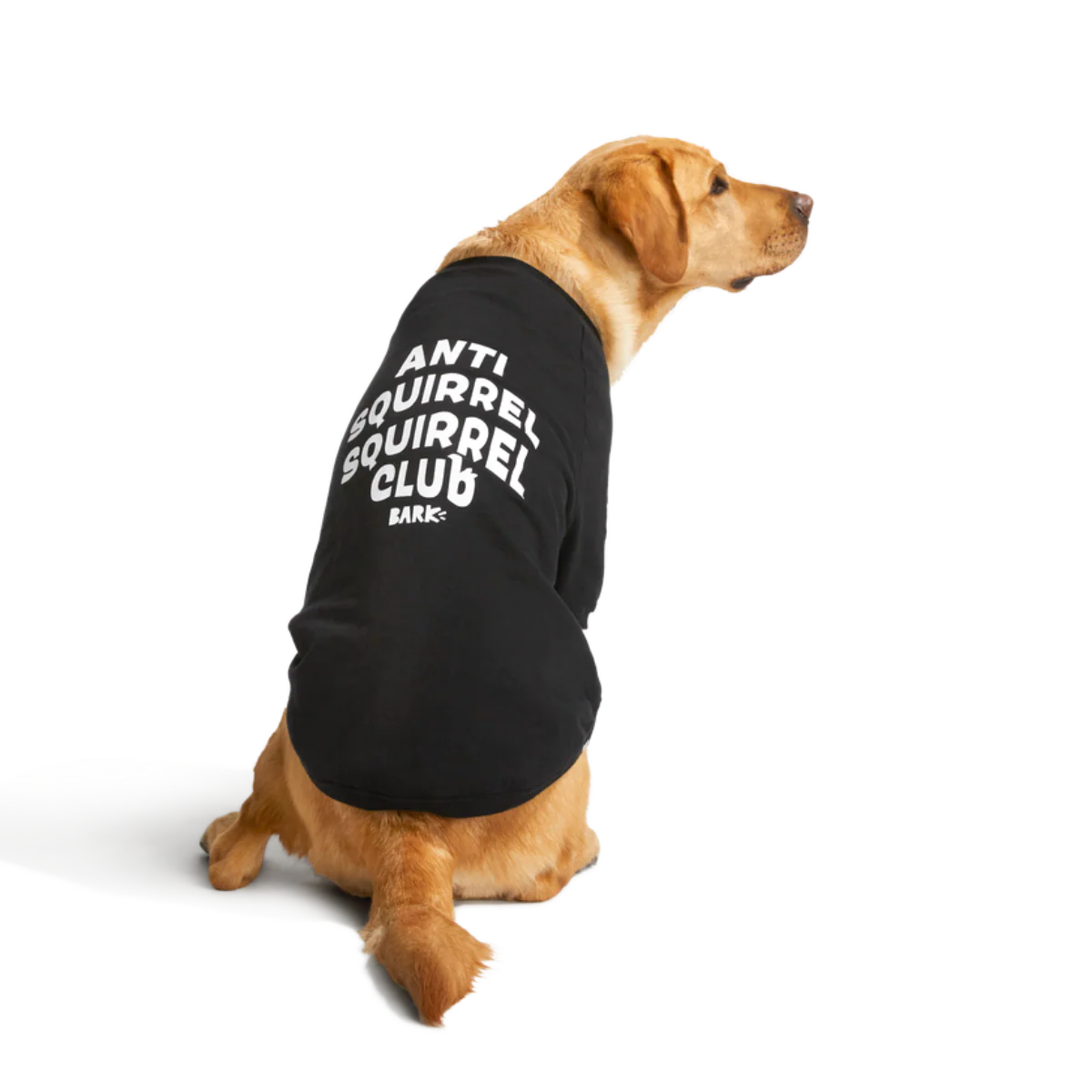 Anti-Squirrel Squirrel Club Dog Sweatshirt - Image 10