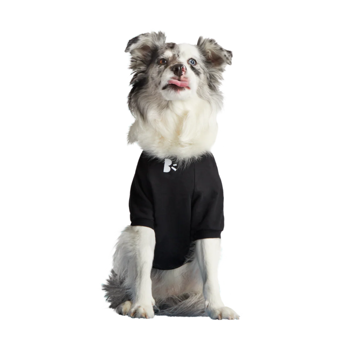 Anti-Squirrel Squirrel Club Dog Sweatshirt - Image 7