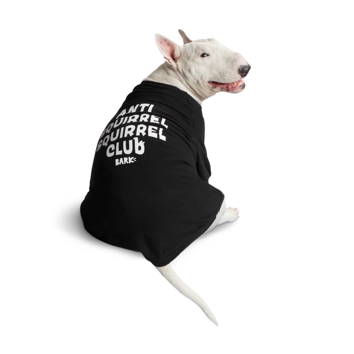 Anti-Squirrel Squirrel Club Dog Sweatshirt - Image 8