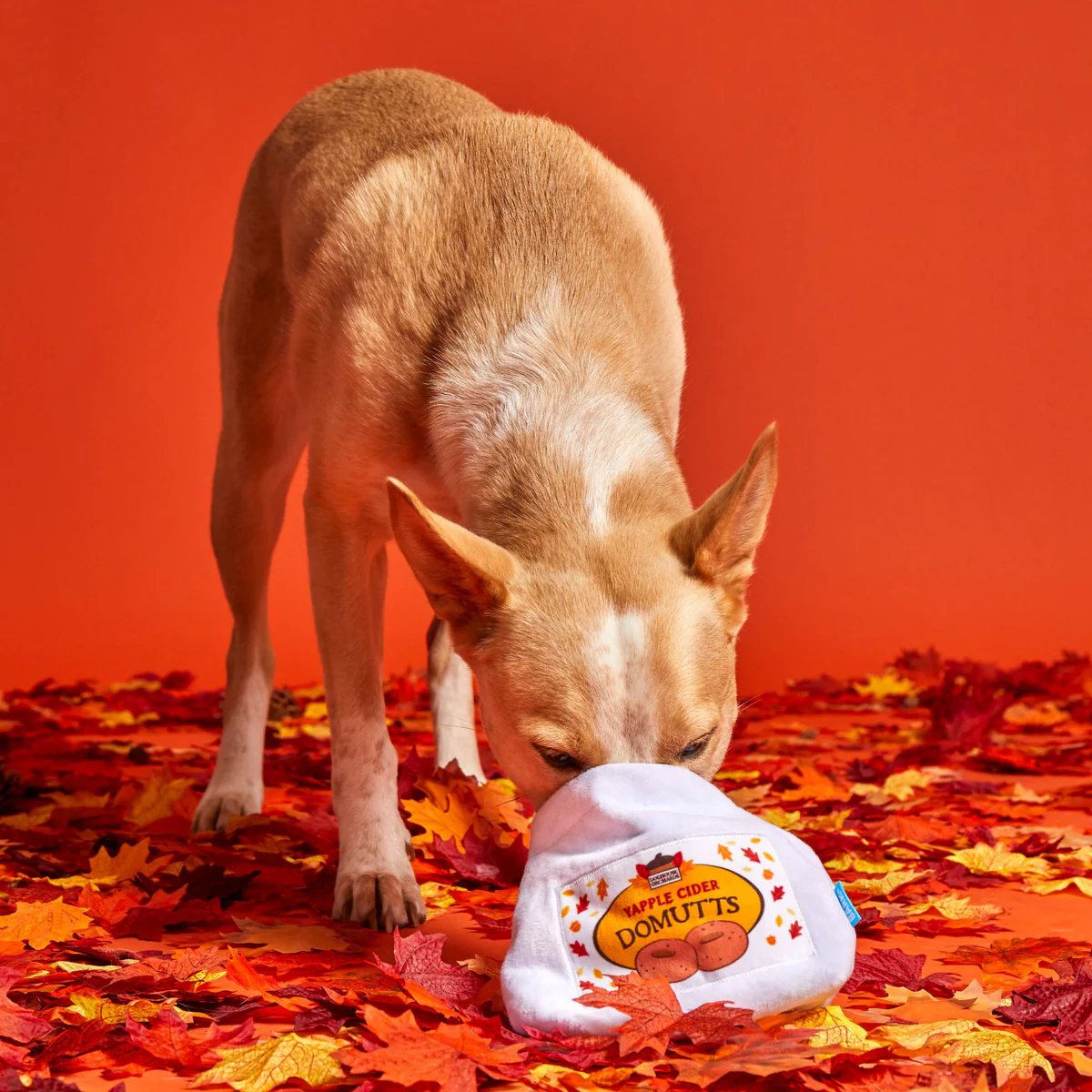 Apple Cider Domutts Plush Multi-Part + Enrichment Dog Toy - Image 4