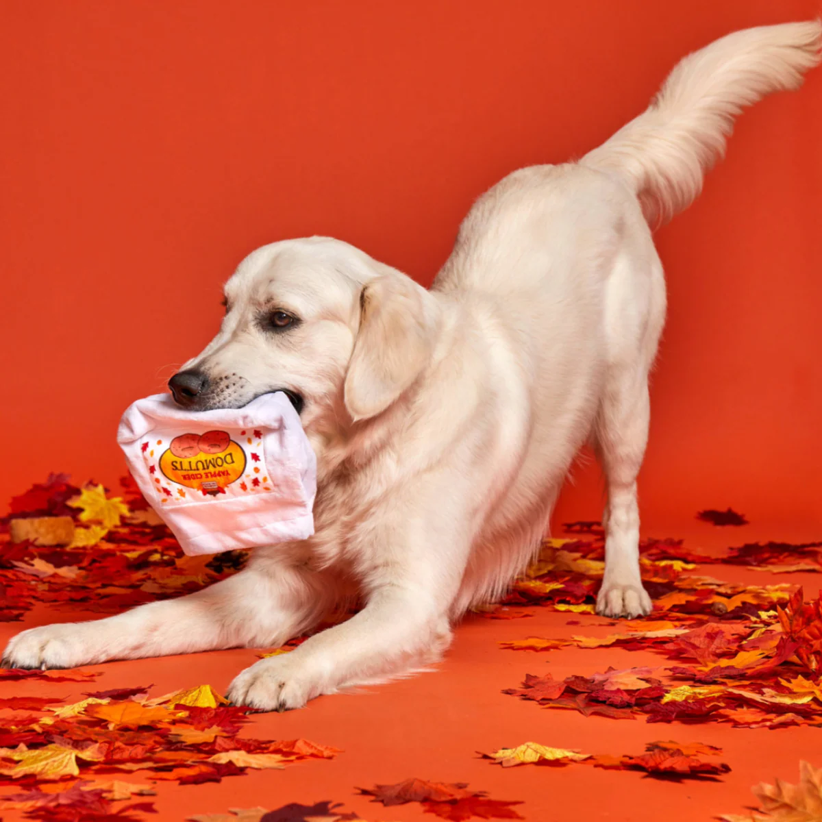 Apple Cider Domutts Plush Multi-Part + Enrichment Dog Toy - Image 6