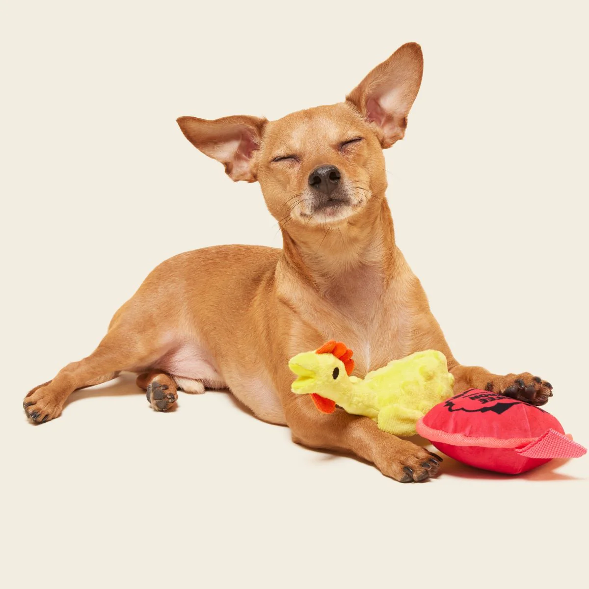April Fools Tools Plush Multi-Part Tug Dog Toy - Image 3