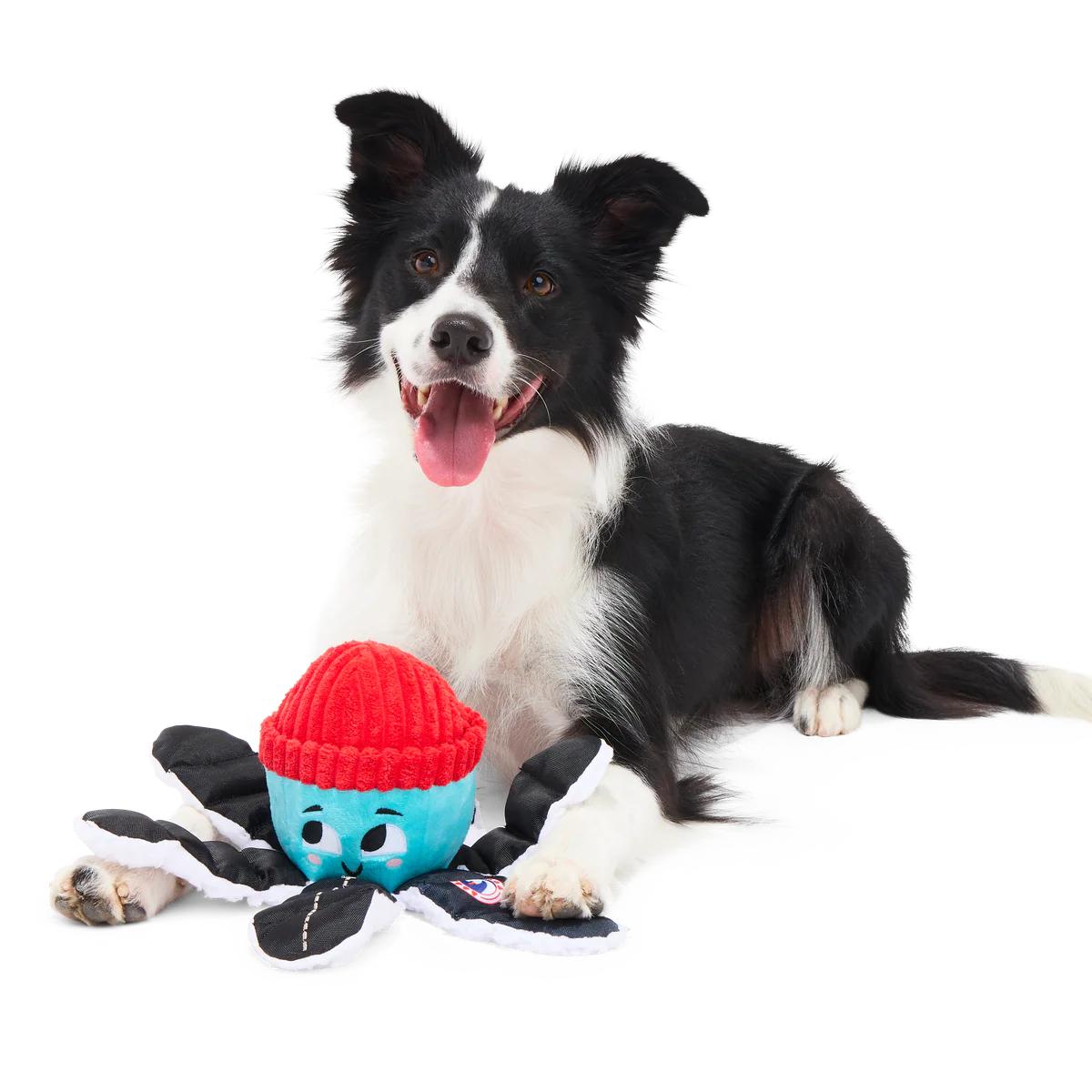 Arctic Ollie Plush Tug Dog Toy - Image 5