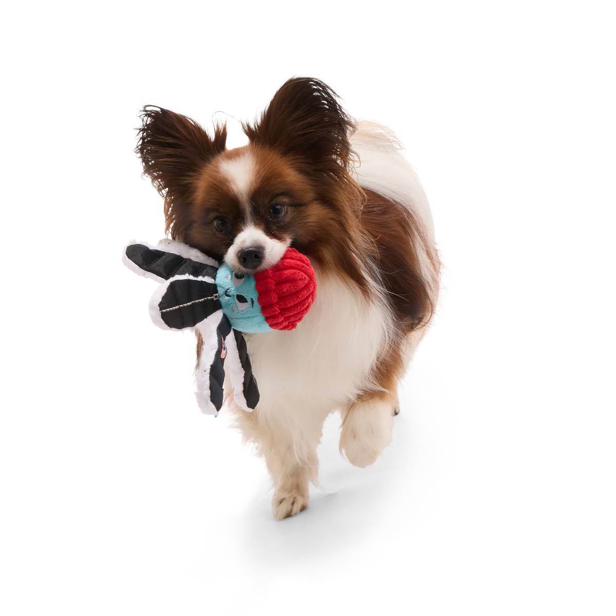 Arctic Ollie Plush Tug Dog Toy - Image 7