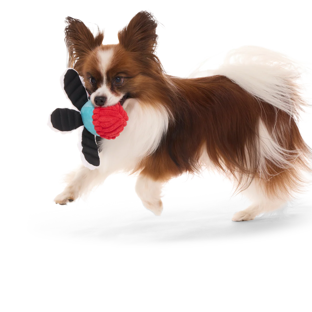 Arctic Ollie Plush Tug Dog Toy - Image 9