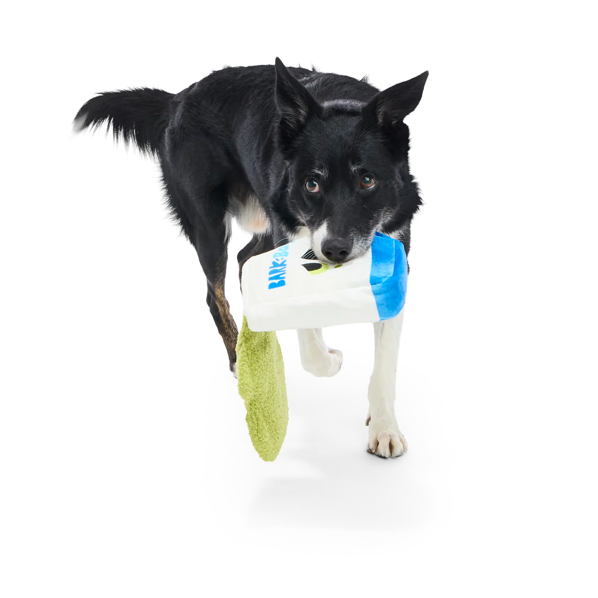 Arf Bag Plush Tug Dog Toy - Image 3