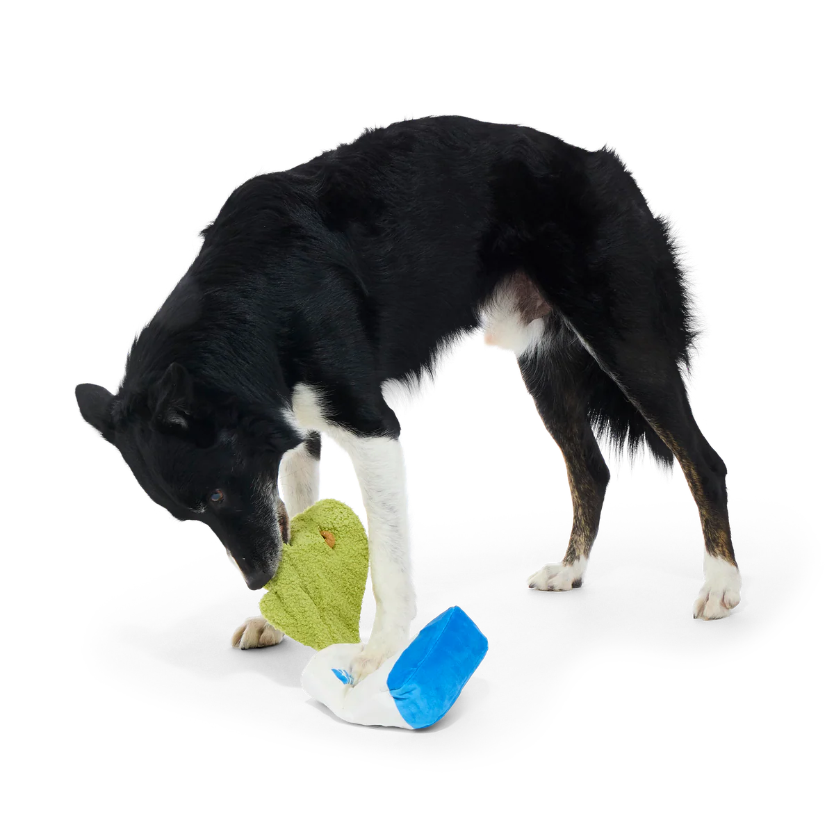 Arf Bag Plush Tug Dog Toy - Image 4