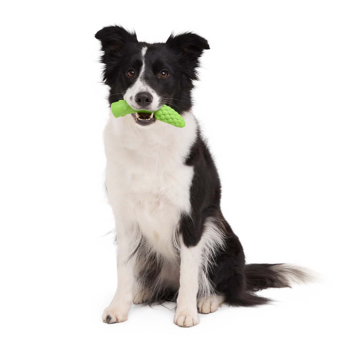 Aspupagus Super Chewer Durable Gnaw Toy - Image 2