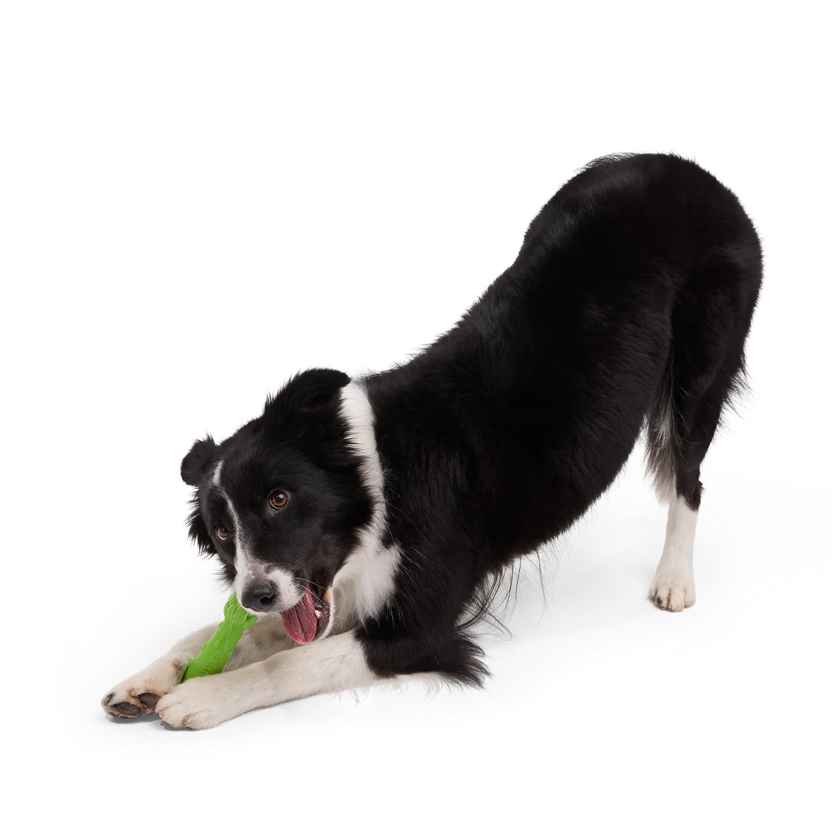 Aspupagus Super Chewer Durable Gnaw Toy - Image 4