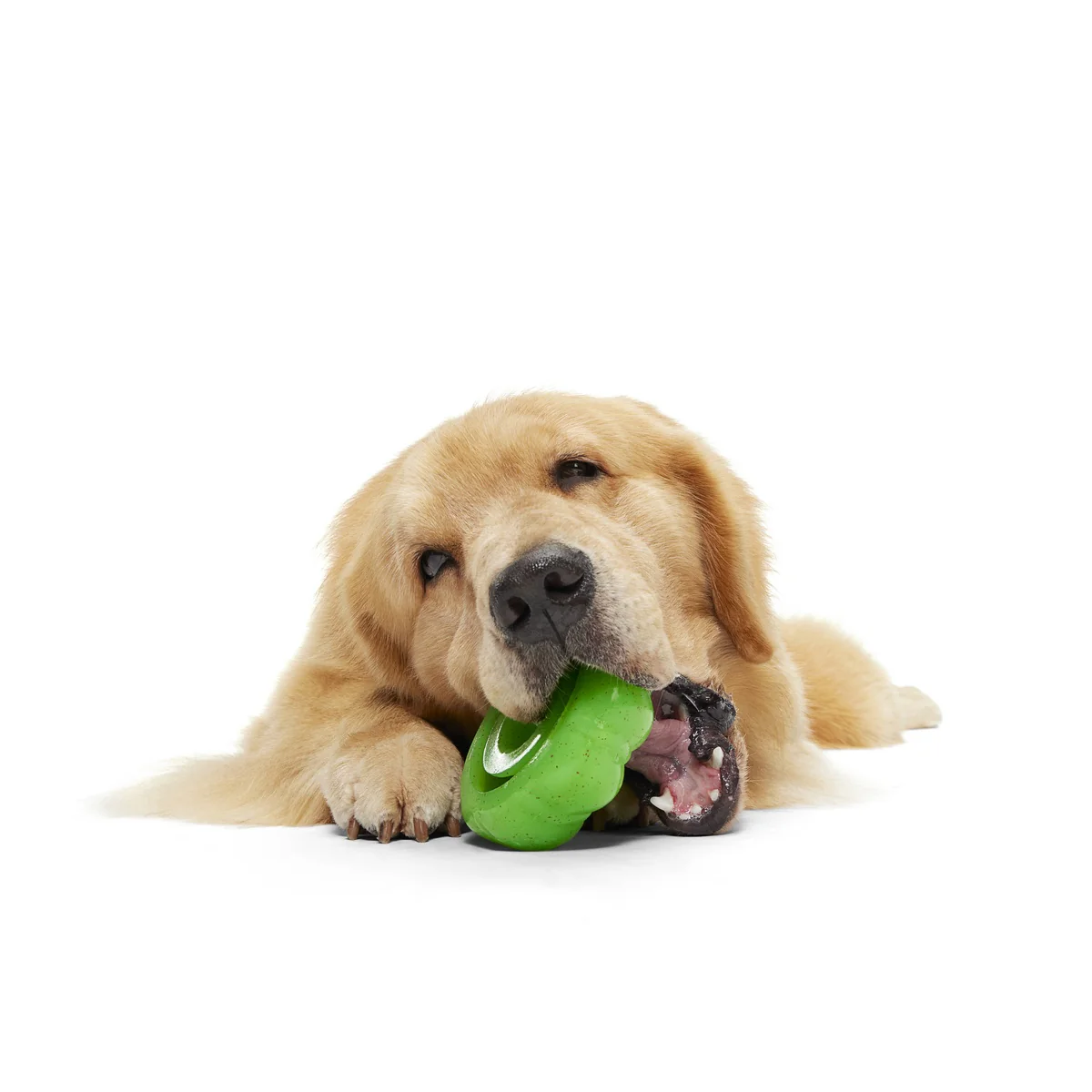 Aunt Bethany's Jello Super Chewer Durable Gnaw Dog Toy - Image 3