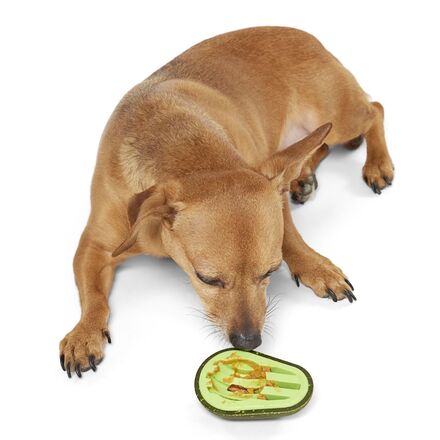 Avocadoggo Super Chewer Durable Enrichment Dog Toy - Image 6