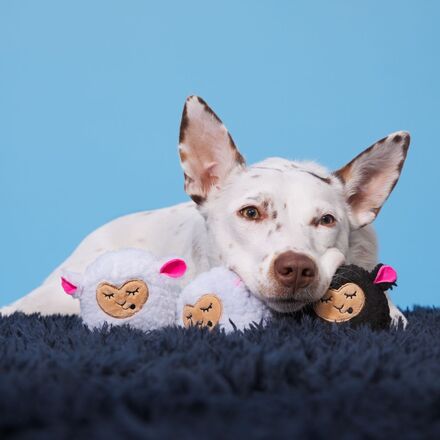 Baa Baa Bark Sheep Plush Multi-Part + Fetch Dog Toy - Image 3