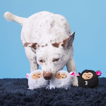 Baa Baa Bark Sheep Plush Multi-Part + Fetch Dog Toy - Image 4