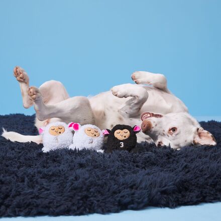Baa Baa Bark Sheep Plush Multi-Part + Fetch Dog Toy - Image 5