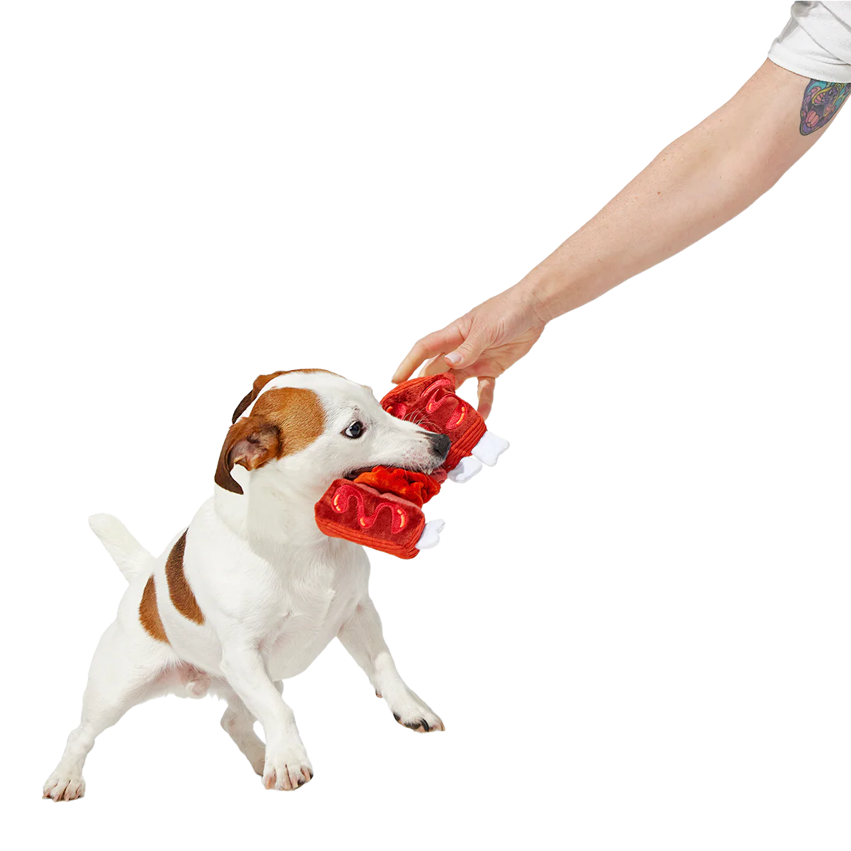 Baby Bark Ribs Plush Tug Dog Toy - Image 2