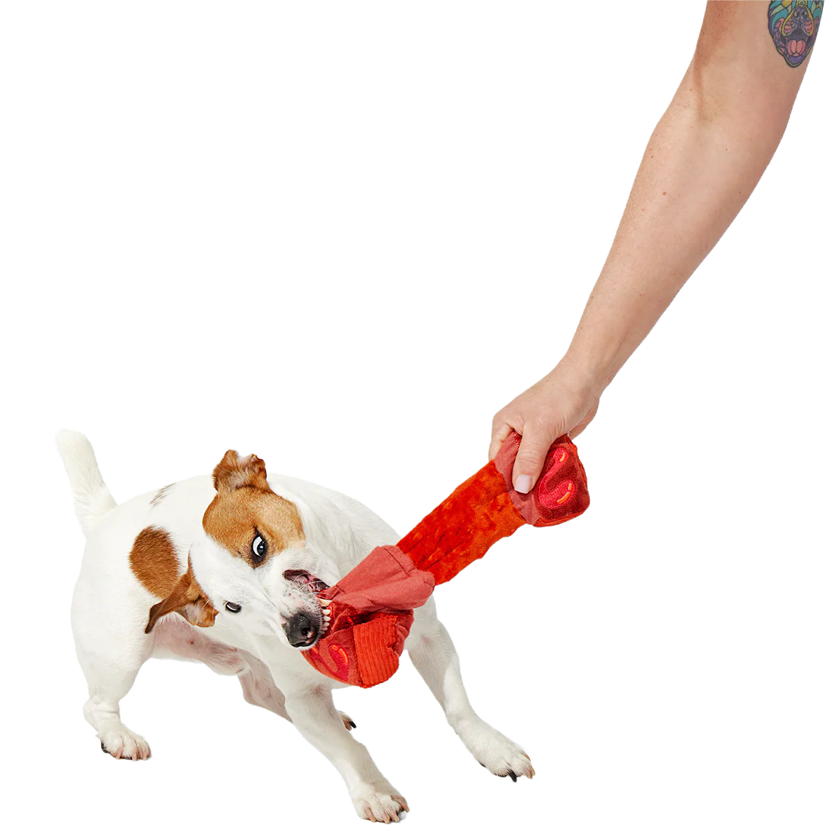 Baby Bark Ribs Plush Tug Dog Toy - Image 3