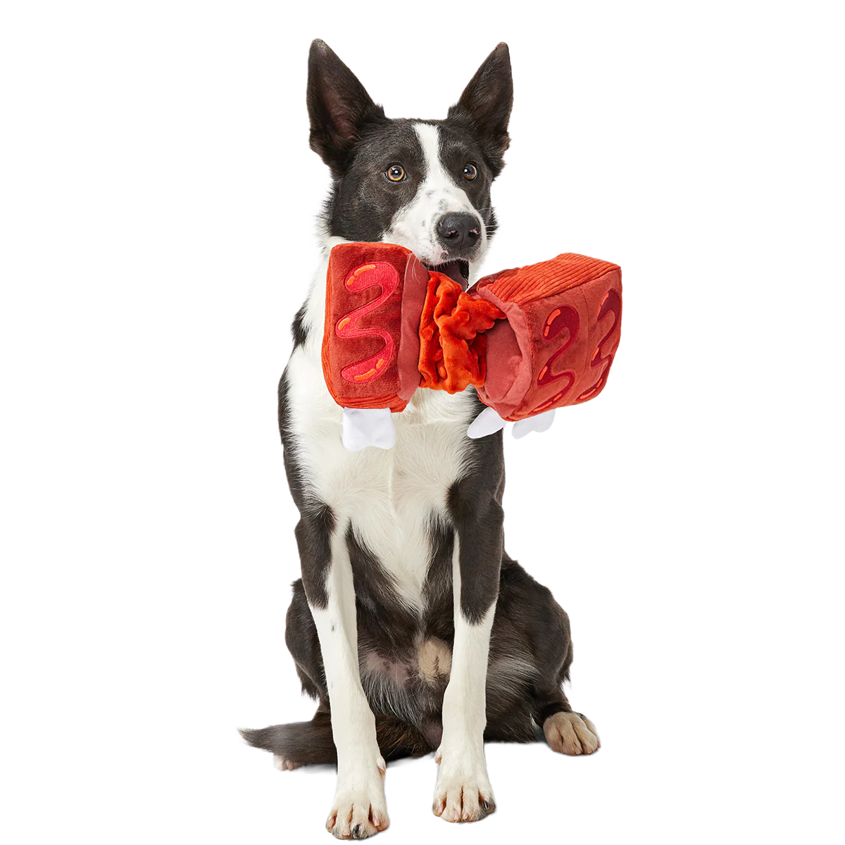 Baby Bark Ribs Plush Tug Dog Toy - Image 4