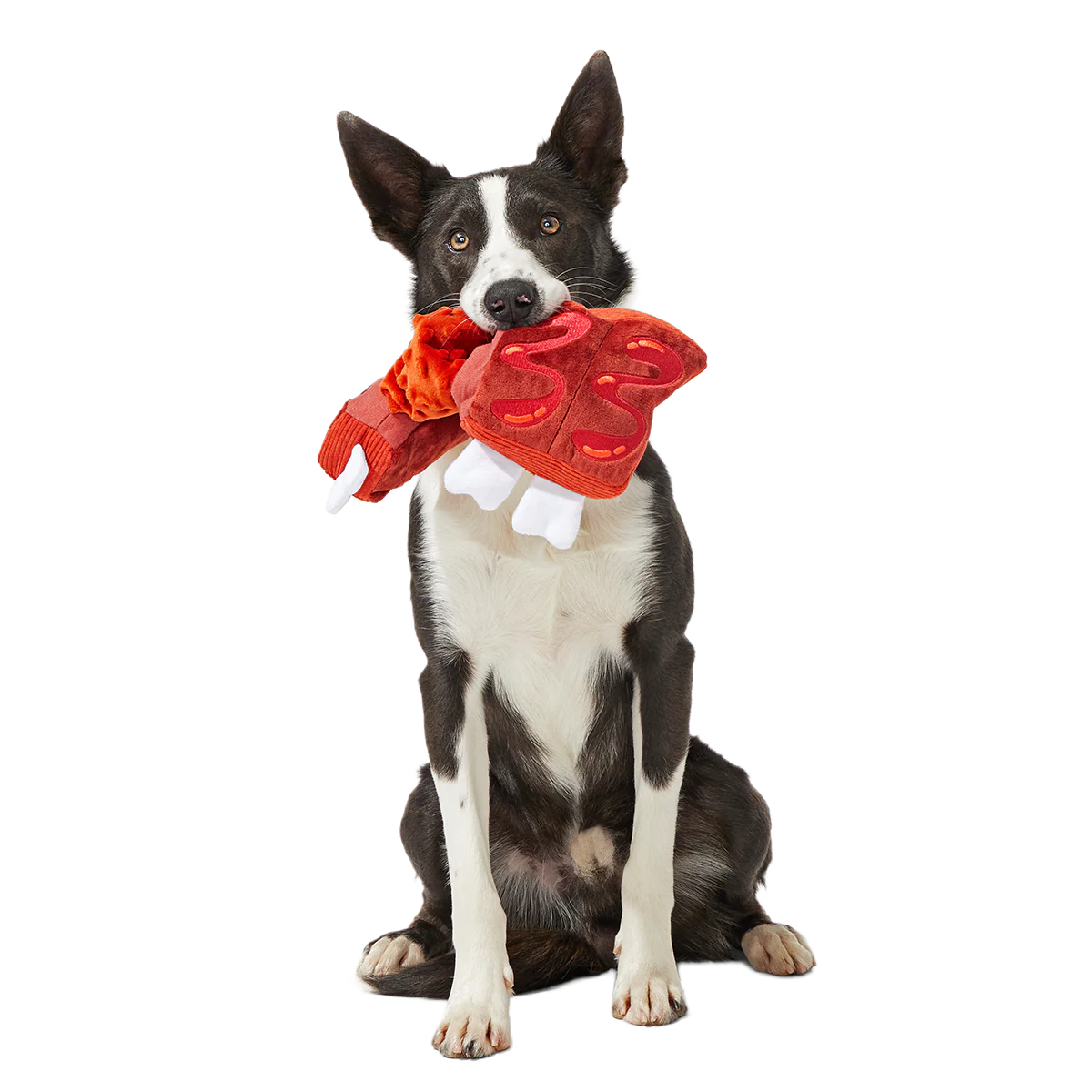 Baby Bark Ribs Plush Tug Dog Toy - Image 5