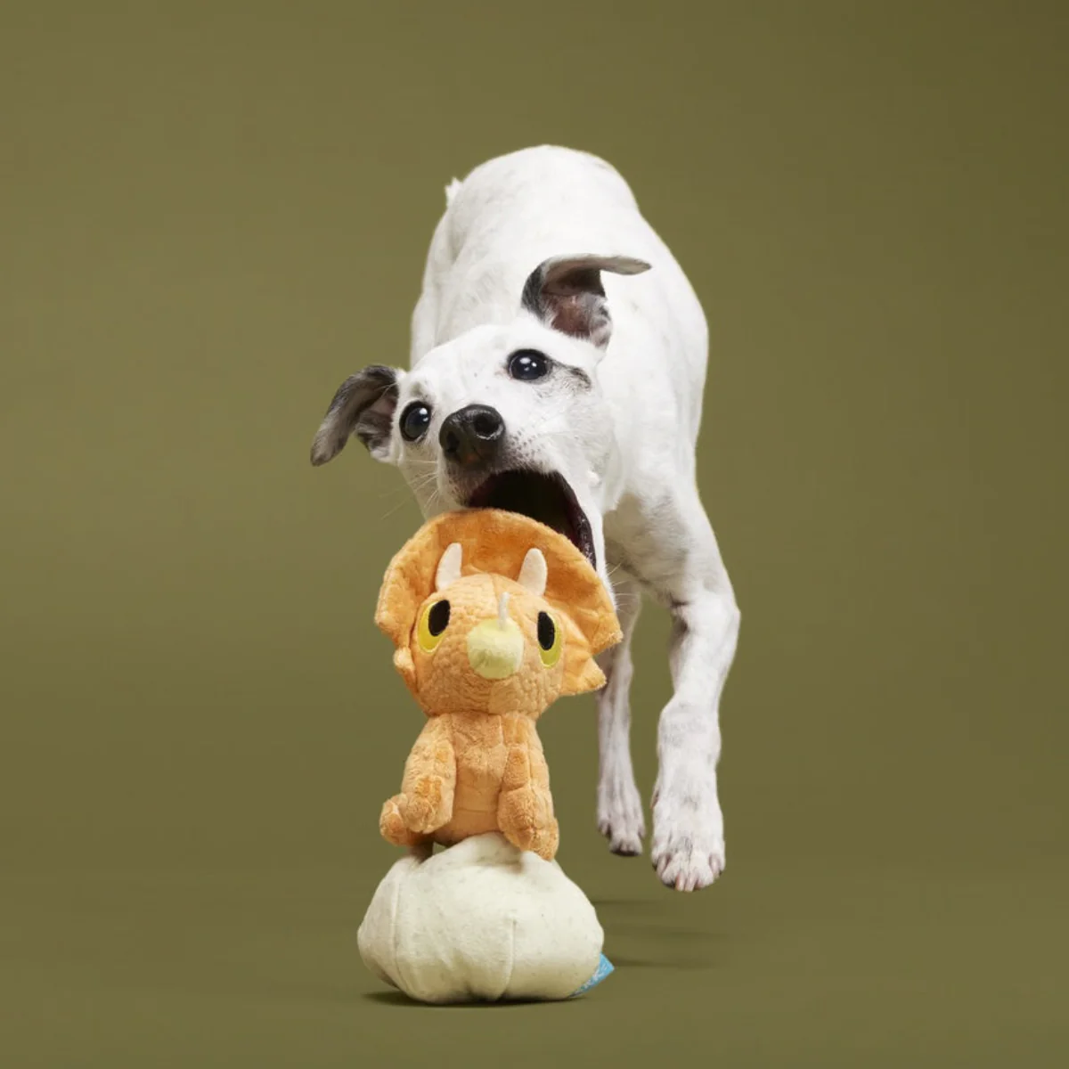 Baby Triceratops Plush Multi-Part + Enrichment Dog Toy - Image 2