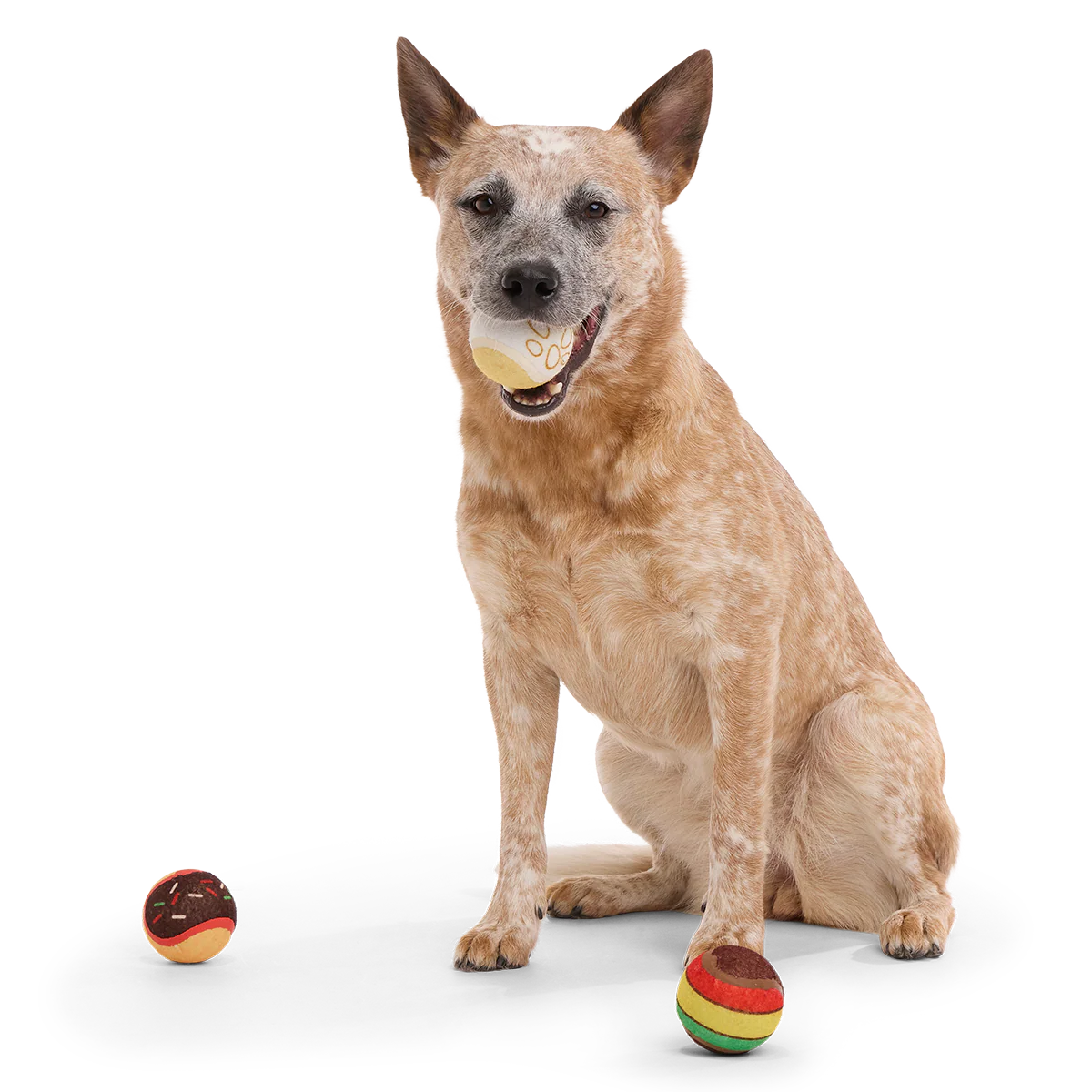 Ballscoti Cookies Plush Multi-Part Fetch Dog Toy - Image 3
