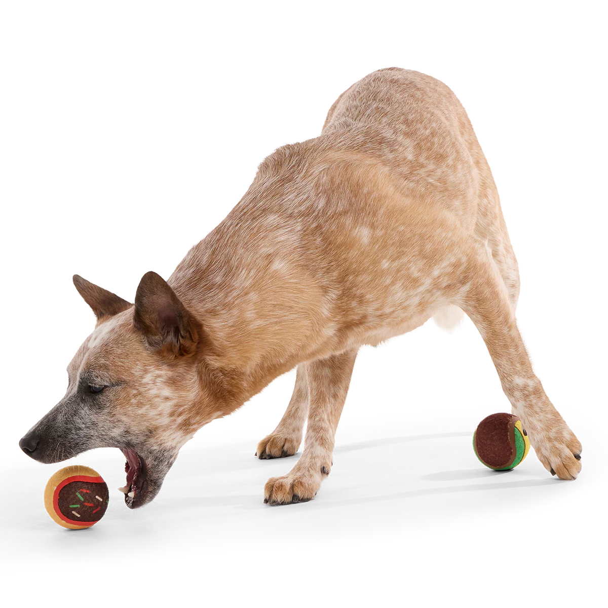Ballscoti Cookies Plush Multi-Part Fetch Dog Toy - Image 4
