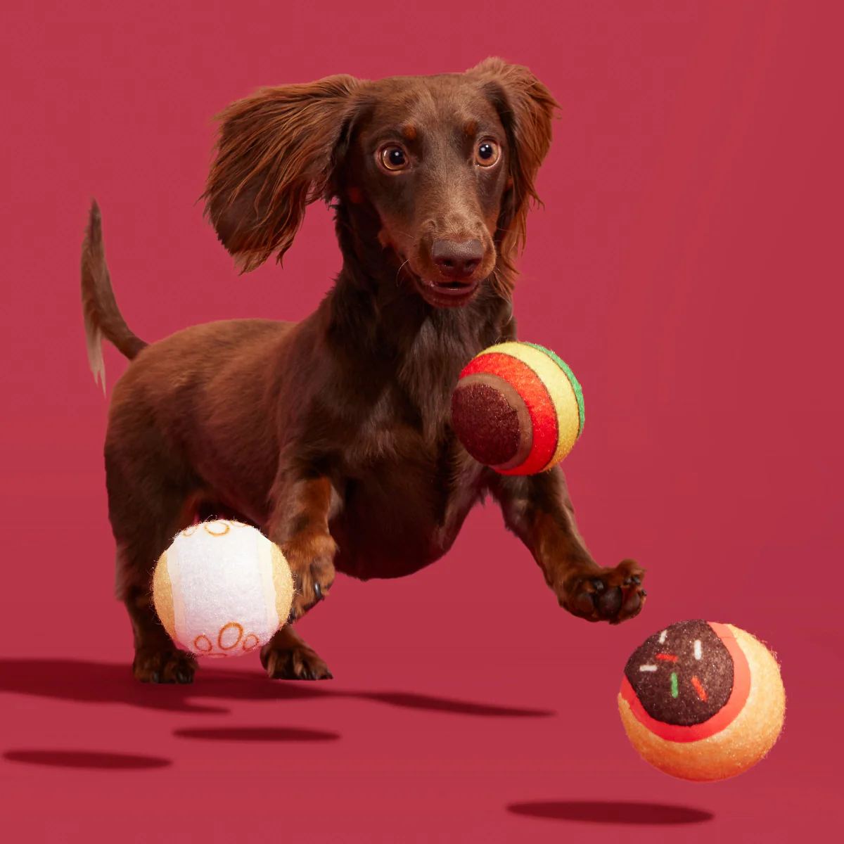 Ballscoti Cookies Plush Multi-Part Fetch Dog Toy - Image 5