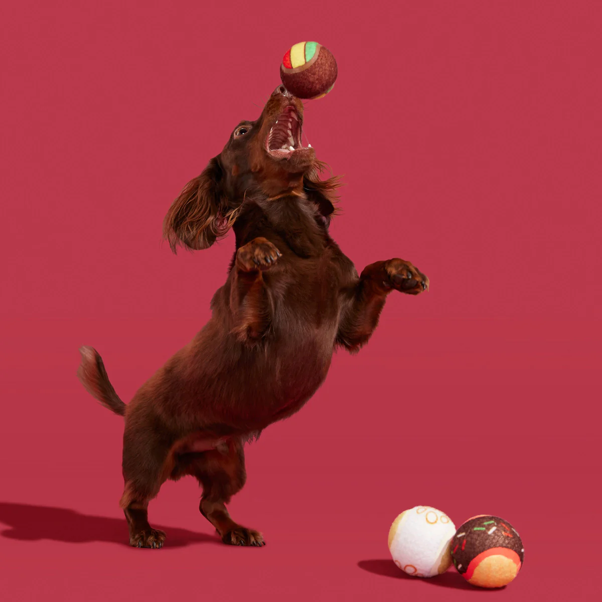 Ballscoti Cookies Plush Multi-Part Fetch Dog Toy - Image 6