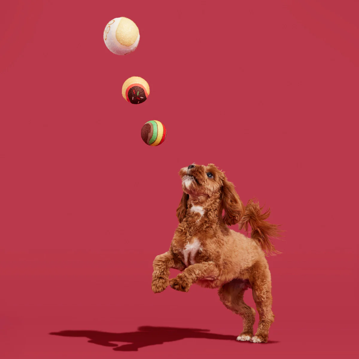 Ballscoti Cookies Plush Multi-Part Fetch Dog Toy - Image 7
