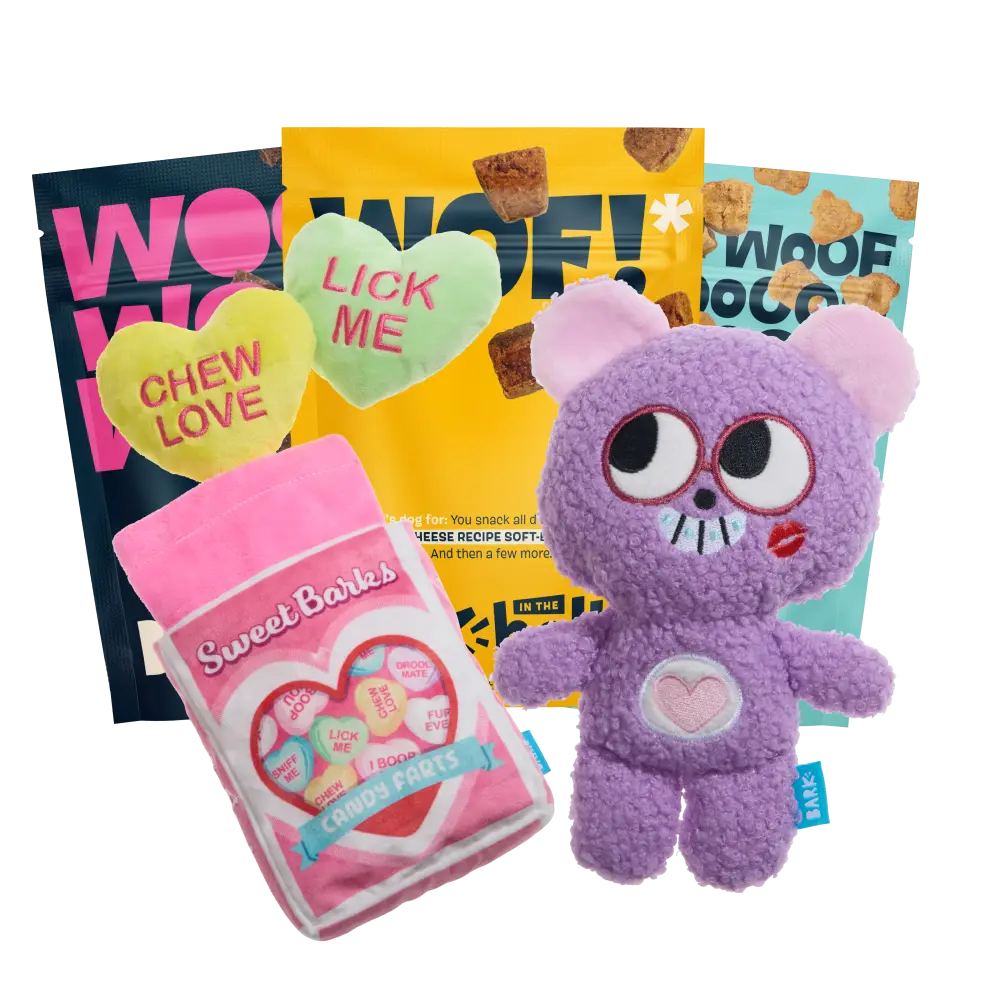 BARK 12 Month Subscription - FREE Extra Treats - Image 3
