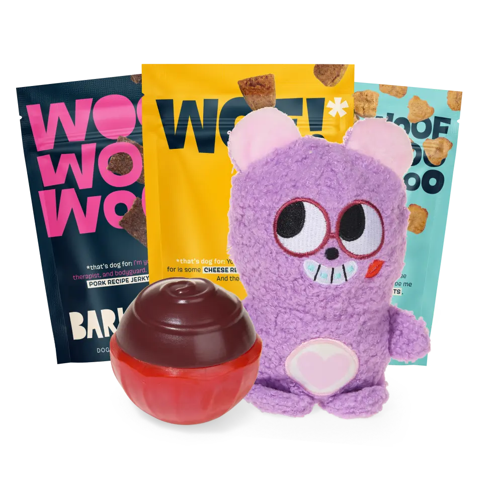 BARK 12 Month Subscription - FREE Extra Treats - Image 4