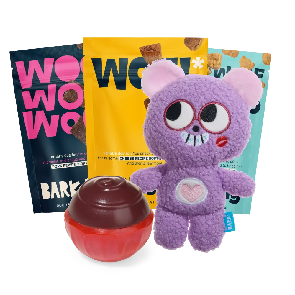 BARK 12 Month Subscription - FREE Extra Treats - Image 5