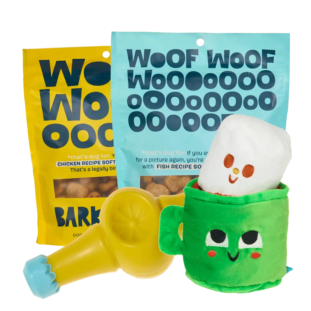 BARK 6 Month Subscription - FREE Extra Toys with Cardboard Box - Image 13