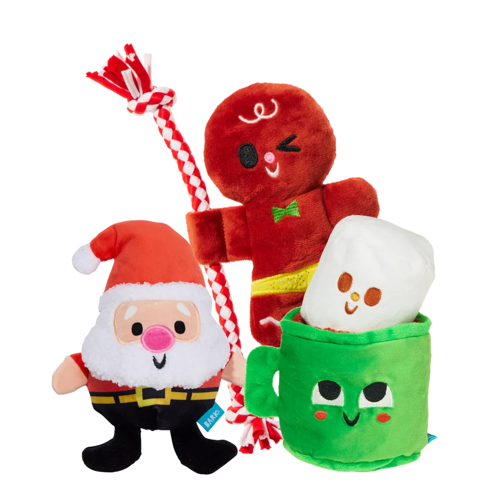 BARK 6 Month Subscription - FREE Extra Toys with Cardboard Box - Image 17