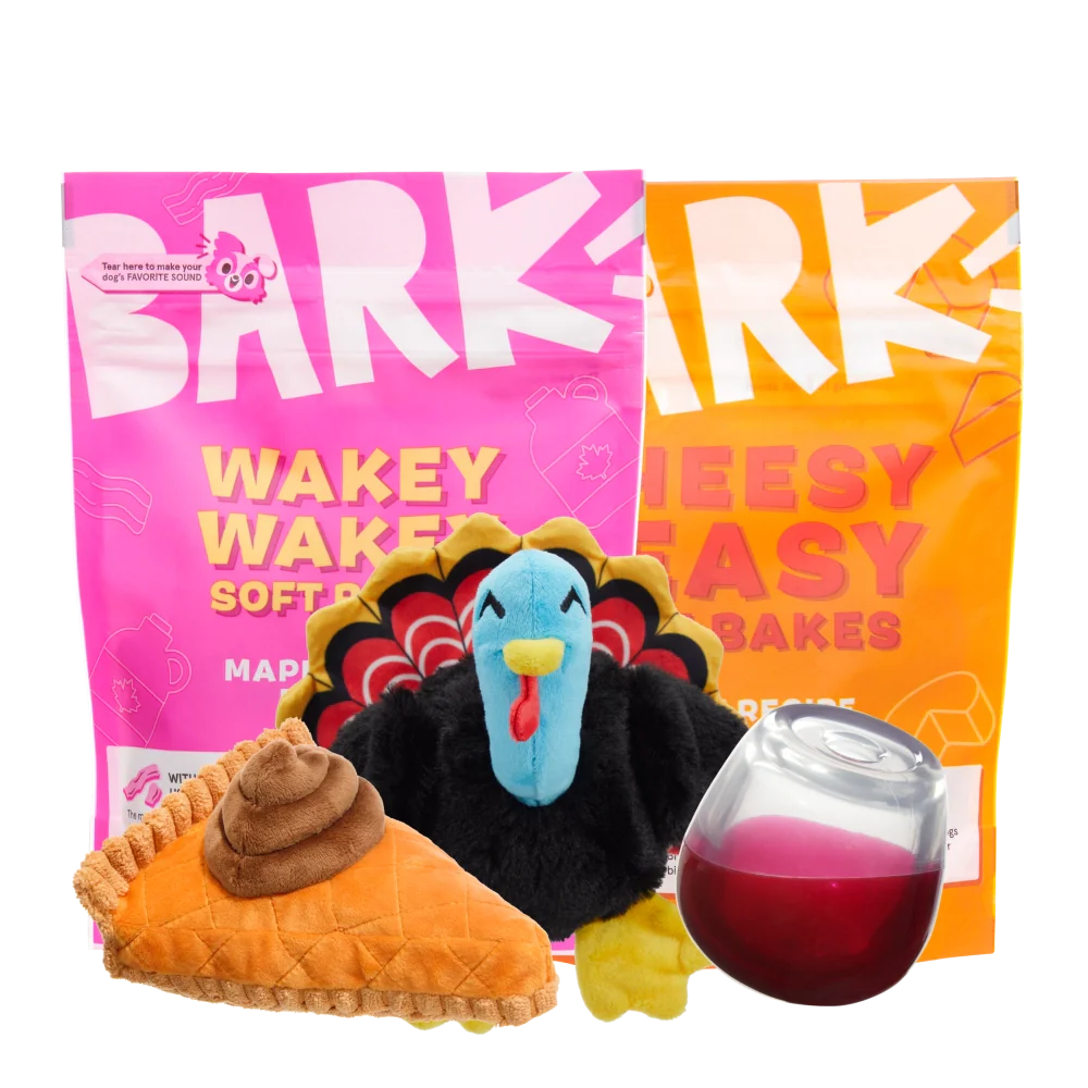 BARK 6 Month Subscription - FREE Extra Toys with Cardboard Box - Image 4