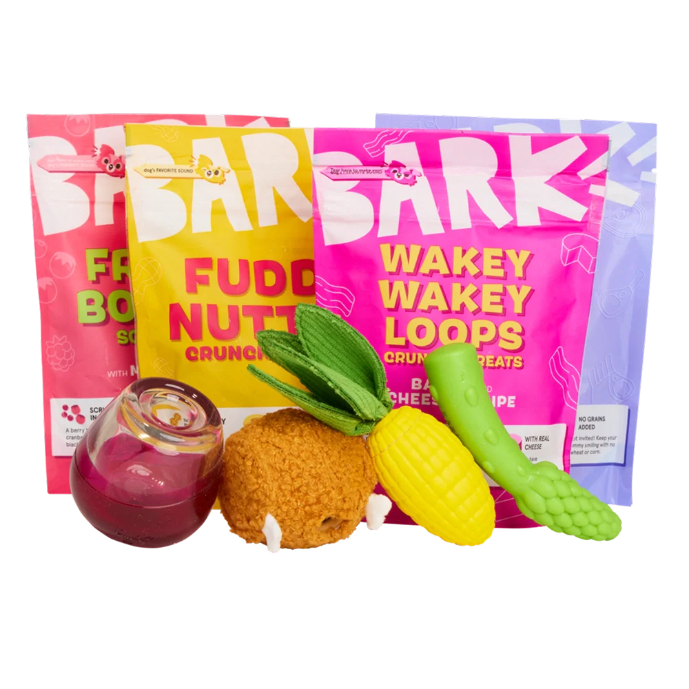 BARK 6 Month Subscription - FREE Extra Toys with Cardboard Box - Image 7