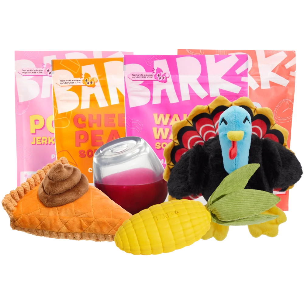 BARK 6 Month Subscription - FREE Extra Toys with Cardboard Box - Image 8