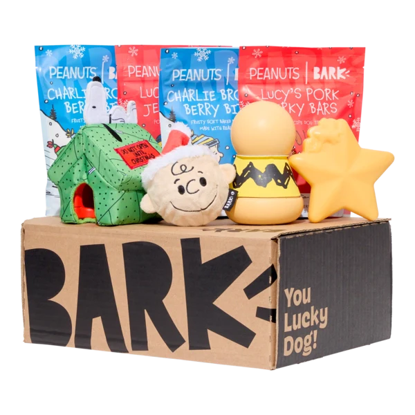 BARK 12 Month Subscription - Peanuts Double Deluxe First Box - Image 2