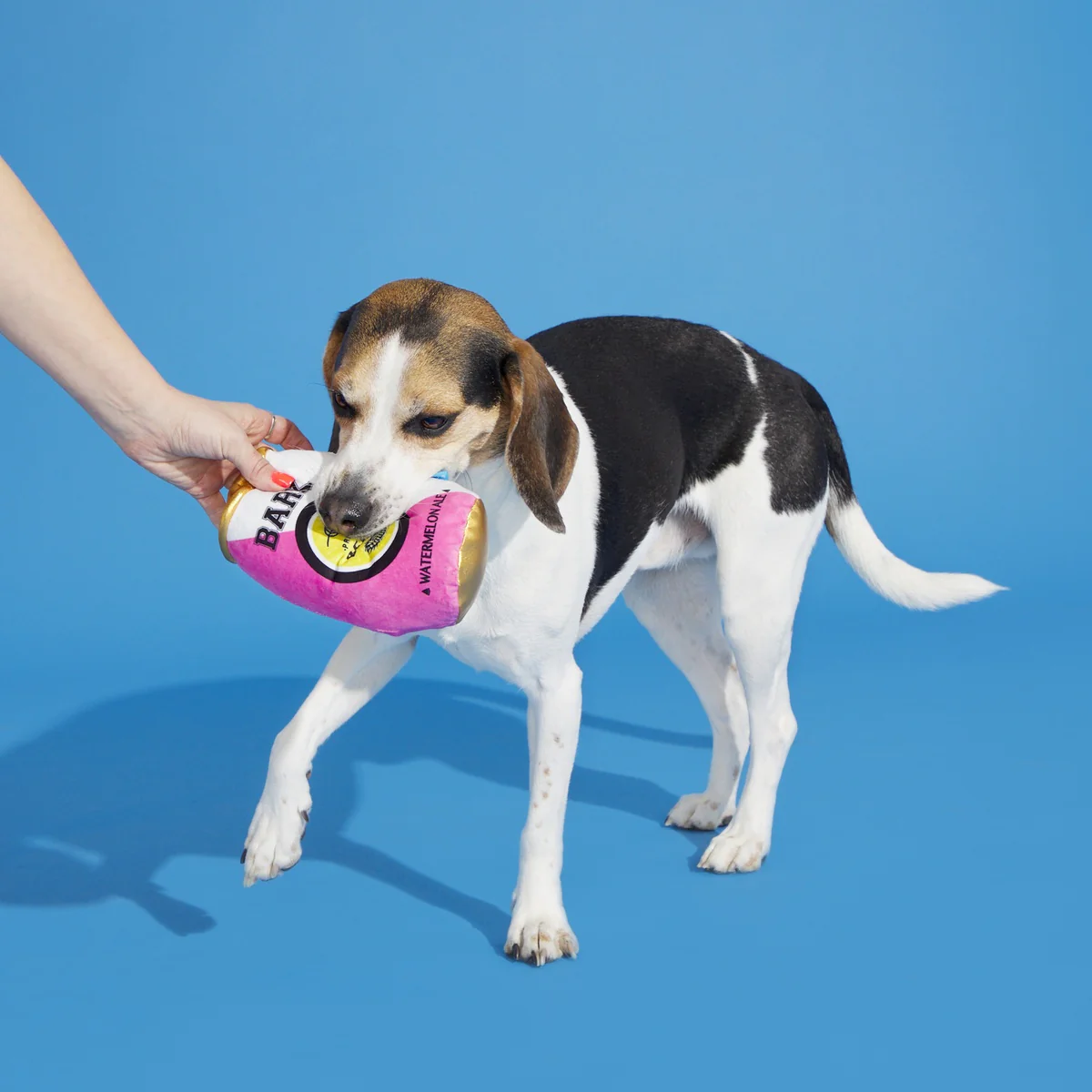 BARK-B-Q: Watermelon Ale Plush Dog Toy - Image 2