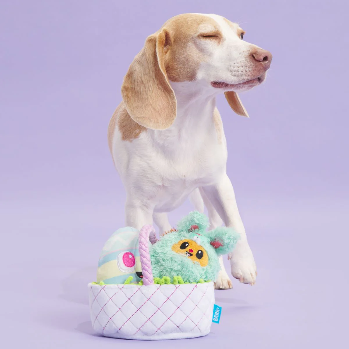 BARK Easter Bundle Plush Tug + Enrichment + Multi-Part Dog Toy - Image 3