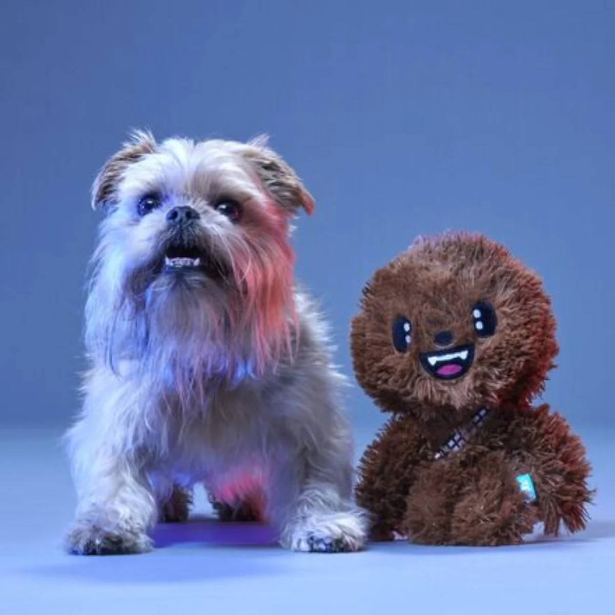 Bark It Up, Fuzzball! Plush Tug Dog Toy - Image 3