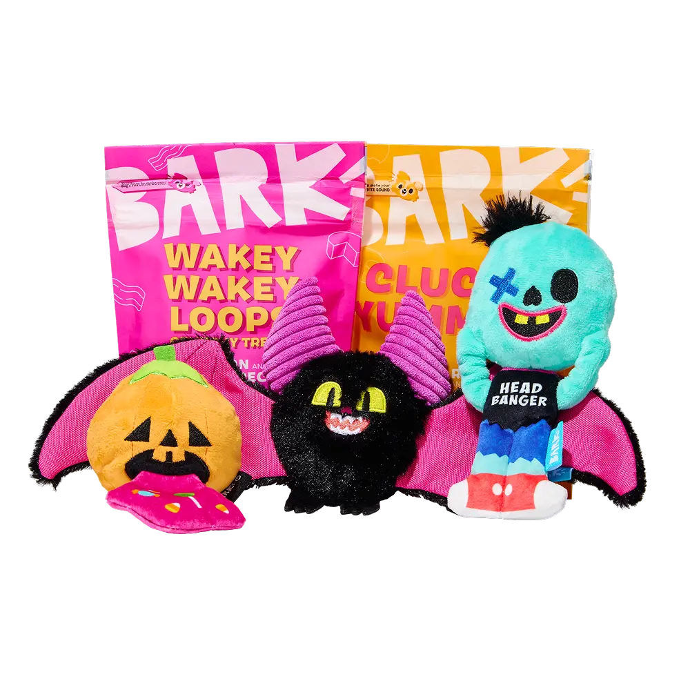BARK Monthly Subscription + Cardboard Box - Image 10