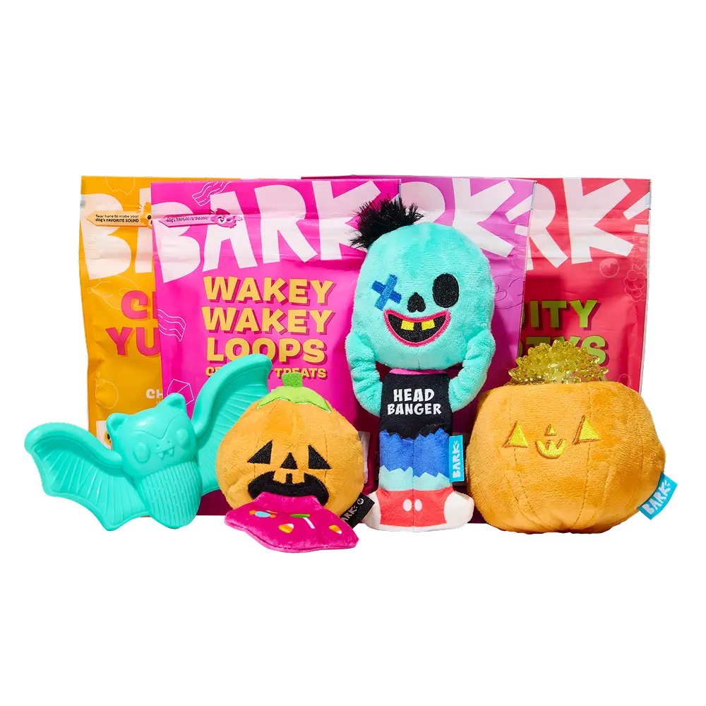 BARK Monthly Subscription + Cardboard Box - Image 11