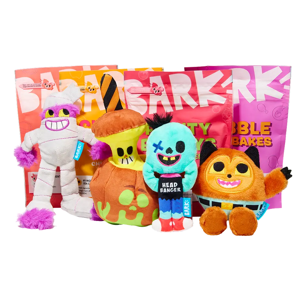 BARK Monthly Subscription + Cardboard Box - Image 3