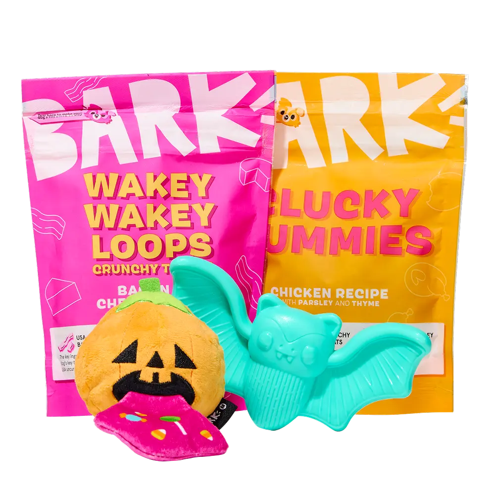 BARK Monthly Subscription + Cardboard Box - Image 5
