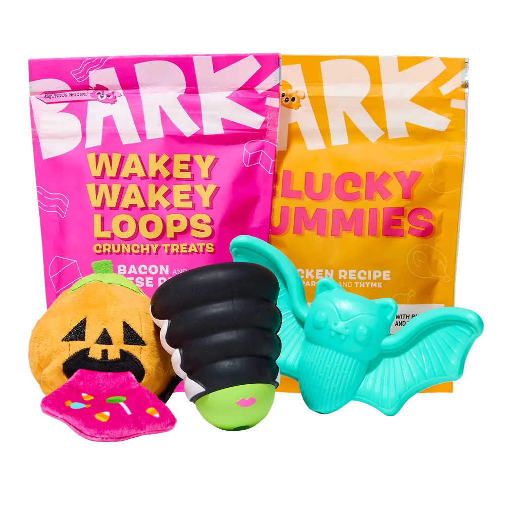 BARK Monthly Subscription + Cardboard Box - Image 6
